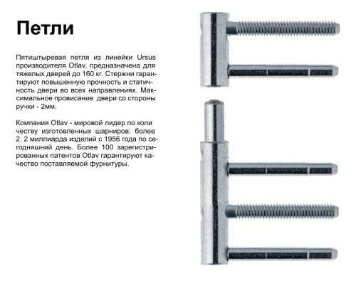 Входная дверь для частного дома WRK-TP-06 M9*21 прав 3020/9016 стекло матовое штанга/нажимная