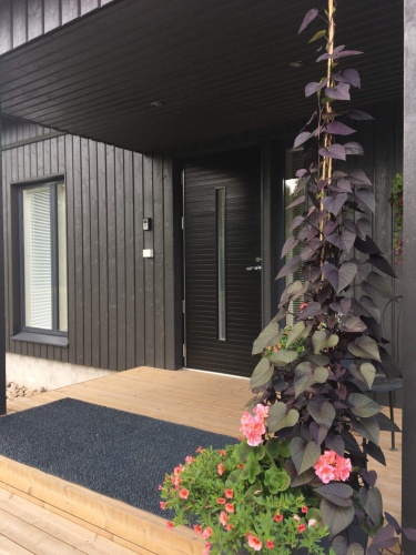 Дверь входная Kaski Puudesign Tyrsky, М9x21, правая, замок LC200, цвет Kaskipuun kuultomusta(Borgå),черный